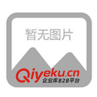 09年春夏休閑情侶裝，運動時尚裝，征全國各地批發(fā)商